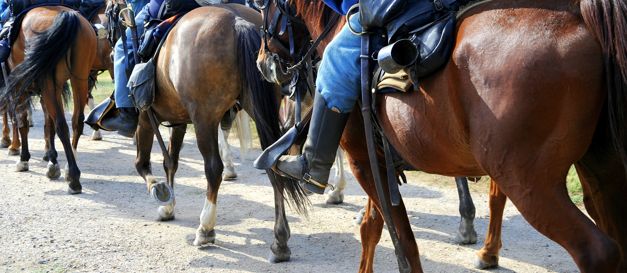 regular fit saddles regular fit saddles
